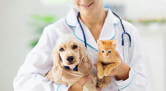 How to Find Free Pet Vaccinations and Health Checkups